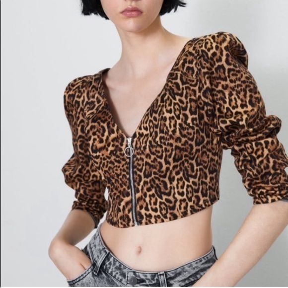 ZARA long sleeves leopard print deep neckline cropped top - Picture 1 of 7